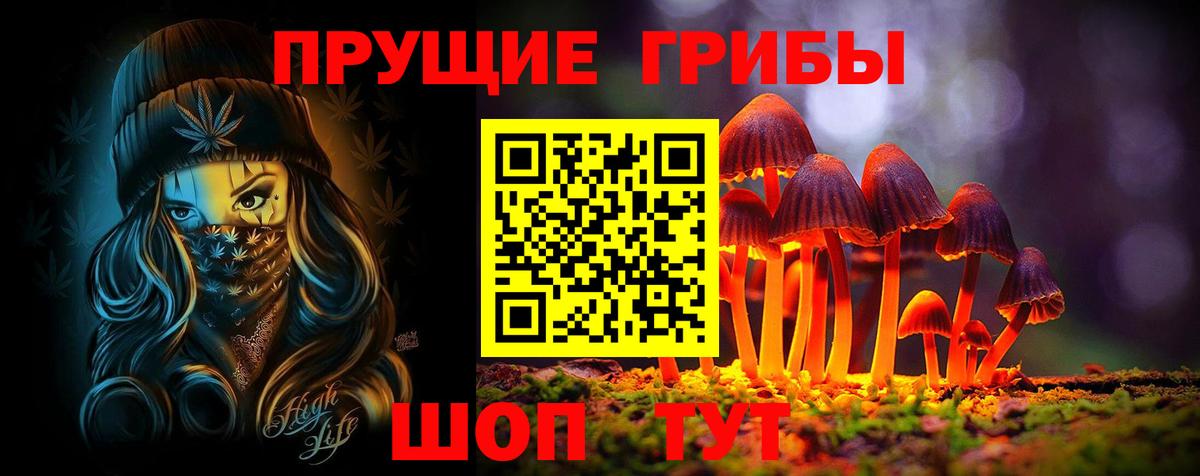 Галлюциногенные грибы Psilocybine cubensis  Вход с VPN  Ноябрьск  Псилоцибиновые грибы Cubensis 