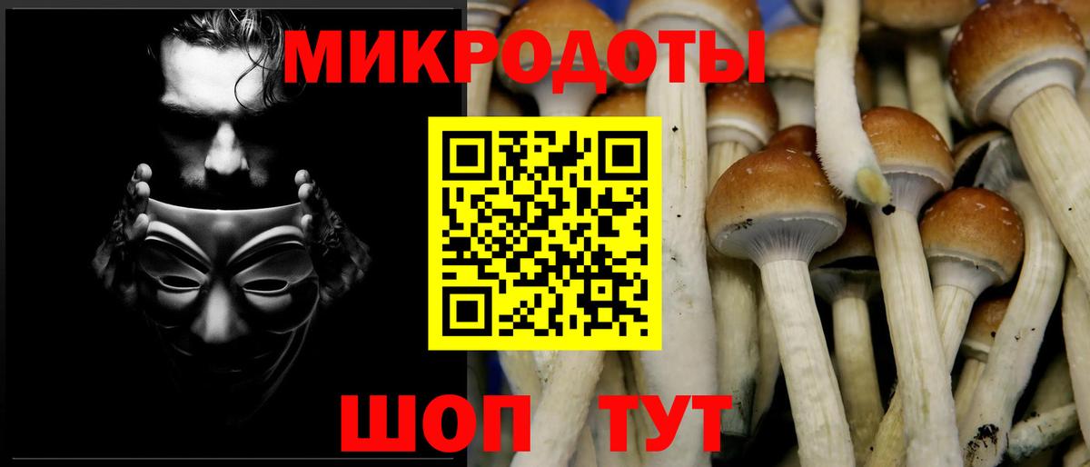 Псилоцибиновые грибы мицелий Ноябрьск